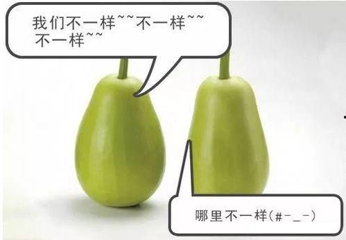 吃瓜被网安逮,揭秘网络监管背后的故事