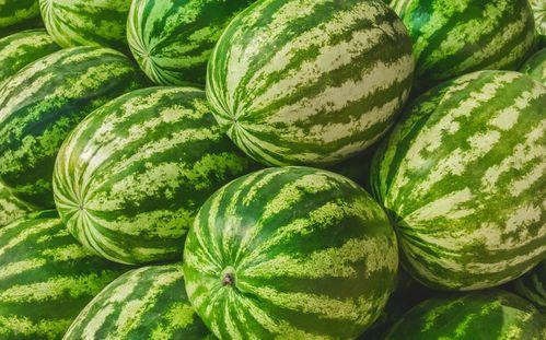 吃瓜 官网,带你领略网络娱乐新风向