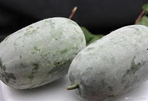 吃瓜第一线的网红,揭秘吃瓜第一线网红的幕后故事