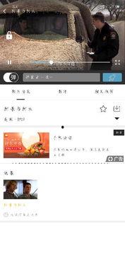 吃瓜本尊小说百度云网盘,揭秘娱乐圈背后的秘密与真相