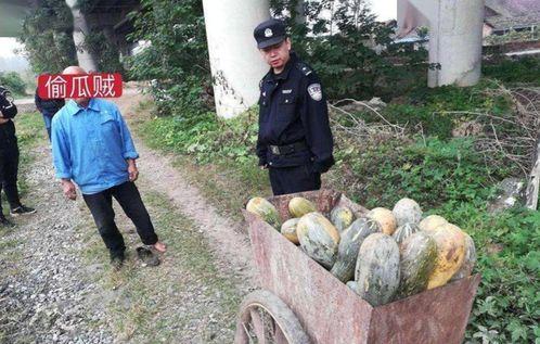 定远网红吃瓜事件真相视频,真相视频曝光背后的惊人内幕