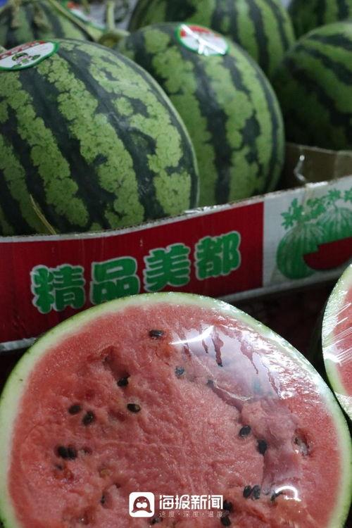 3元吃瓜网,揭秘娱乐圈幕后故事，带你领略不一样的娱乐世界