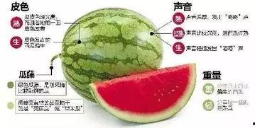 东港网红吃瓜群微信,揭秘网络红人的幕后故事