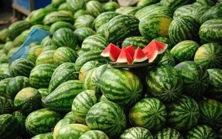 正能量网红吃瓜事件,揭秘网络舆论背后的真相与反思