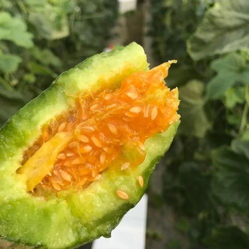 吃瓜网红 图片高清头像,揭秘吃瓜网红高清头像背后的魅力