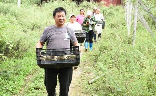 魏县网红吃瓜事件真相,真相背后的网络狂欢与反思