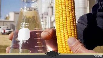 网红乙醇子吃瓜视频,揭秘网红圈幕后故事