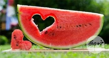 网红乙醇子吃瓜视频,揭秘网红圈幕后故事