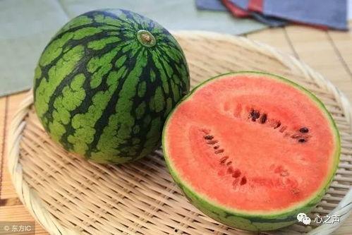 真料吃瓜网,带你领略网络舆论的真相与趣味