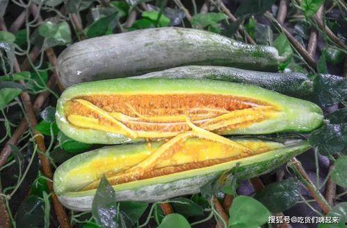 网红吃瓜金伊娜是谁