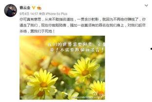 朝阳群众吃瓜网最终网址,追踪热点，洞察社会百态