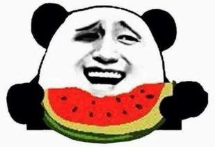 最新吃瓜群众免费吃瓜网,免费吃瓜群众狂欢盛宴