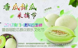 网红大咖与吃瓜,揭秘网络舆论背后的故事