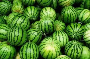 镇平网红吃瓜群微信,揭秘网络红人背后的故事与八卦