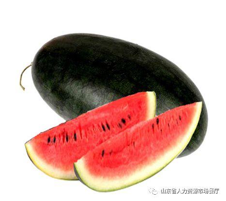 吃瓜黑爆网料网地址,独家爆料，带你探秘网络八卦世界