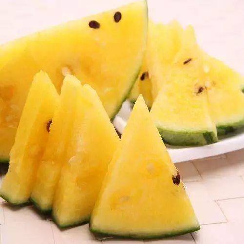 黑网吃瓜网t7wcc,网络暗流涌动的秘密世界