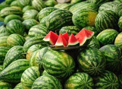 网红最火吃瓜是谁呀图片,揭秘最火“瓜王”之谜