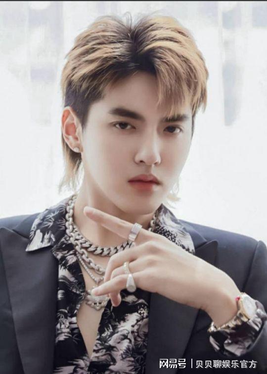 吴亦凡官网吃瓜,揭秘娱乐圈背后的真相与争议