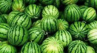 黑网料吃瓜网地址夸克