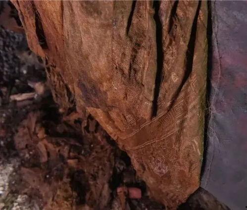 太原网红吃瓜事件是真的吗,太原网红吃瓜事件真相揭秘