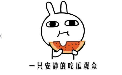 吃瓜网红们,揭秘娱乐圈幕后故事