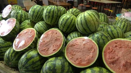 2021年网红吃瓜列表,娱乐圈风云再起