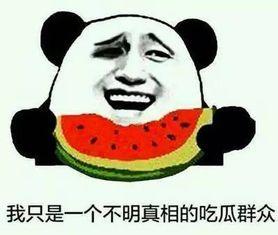 带你吃瓜神器网购,体验“带你吃瓜神器”带来的便捷购物之旅