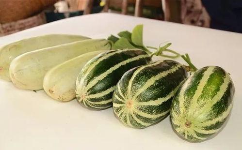 网红豆瓣吃瓜组,揭秘网红圈幕后故事