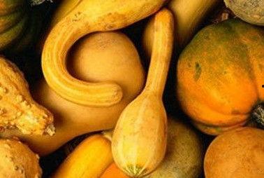 cgtolive吃瓜官网