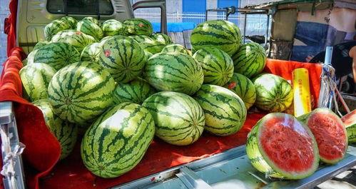 叶县网红吃瓜事件真相,揭秘背后真相与反思