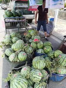 诸暨网红吃瓜事件