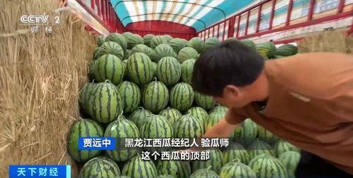 百万网红吃瓜现场,揭秘吃瓜现场幕后真相