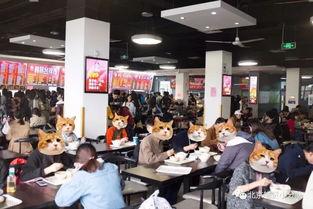 吃瓜网首经贸,吃瓜网带你揭秘校园生活点滴