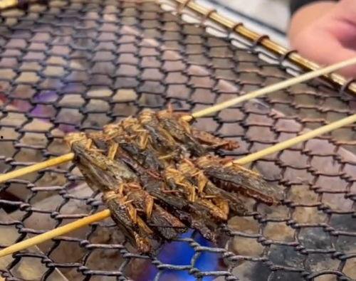 网红白冰吃的网纹瓜,解锁夏日清新美味新体验