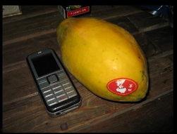 吃瓜的台湾网红叫什么,台湾网红“吃瓜达人”揭秘娱乐圈幕后故事