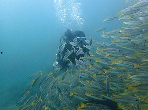 一线吃瓜海底见月网盘txt,揭秘神秘网盘txt背后的故事