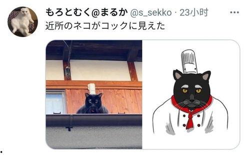 黑猫吃瓜网,揭秘娱乐圈幕后故事，带你领略明星真实生活