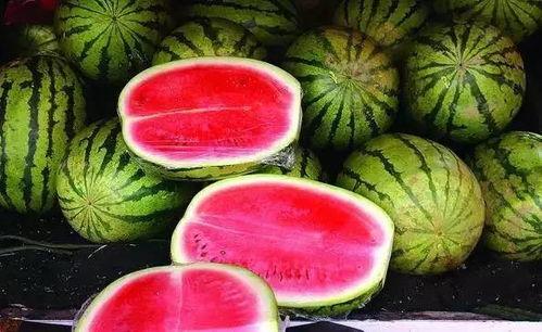 康乐网红吃瓜视频大全集,揭秘热门视频背后的故事