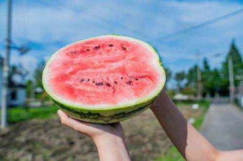 吃瓜网的其他特点有哪些