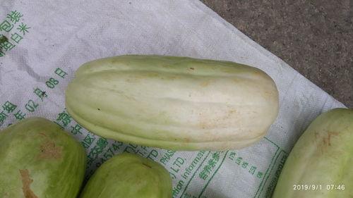 吃瓜网的其他特点有哪些