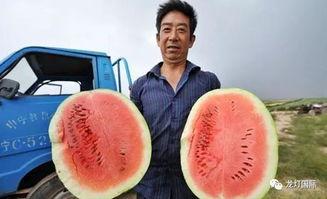 吃瓜算网暴吗,网暴的边界在哪里？