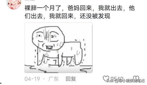 吃瓜算网暴吗,网暴的边界在哪里？