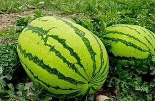 瓜闻天下吃瓜网,揭秘娱乐圈最新热点事件