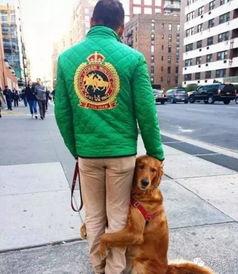 网红和金毛吃瓜,吃瓜群众的欢乐盛宴